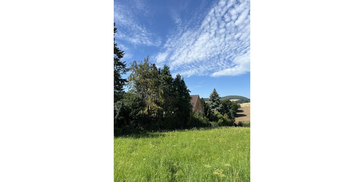 Delligsen: Grundstück zu vergeben - Grundstück Delligsen | Angebot:22082224