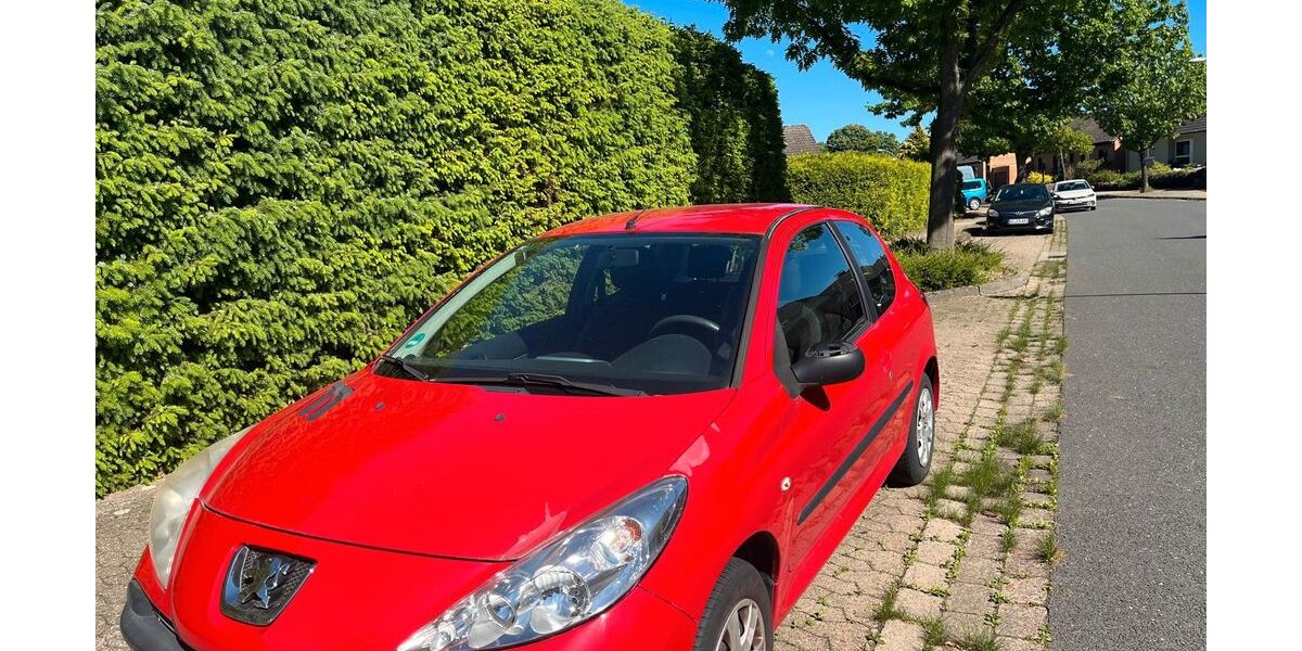 Peugeot 206 117.000 km 2.950 &euro; Salzgitter Bad 38259