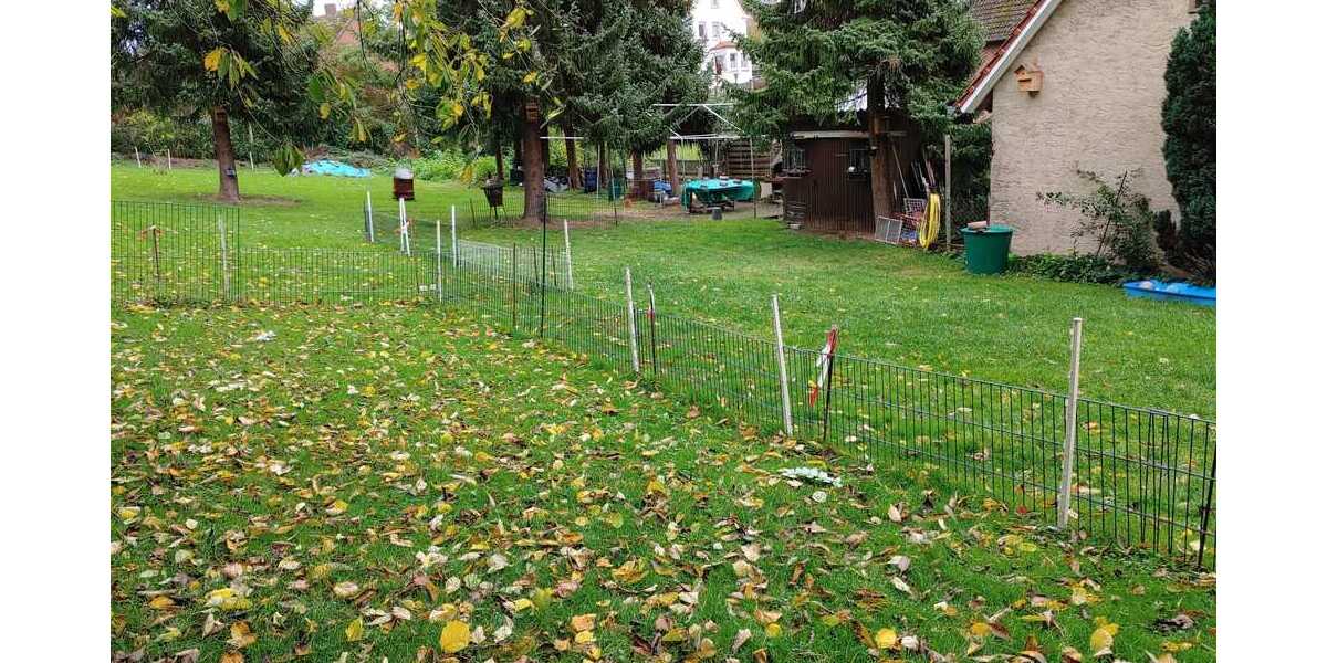 Alfeld OT: Großzügige Wohnung - Etagenwohnung Alfeld Langenholzen | Angebot:23037067