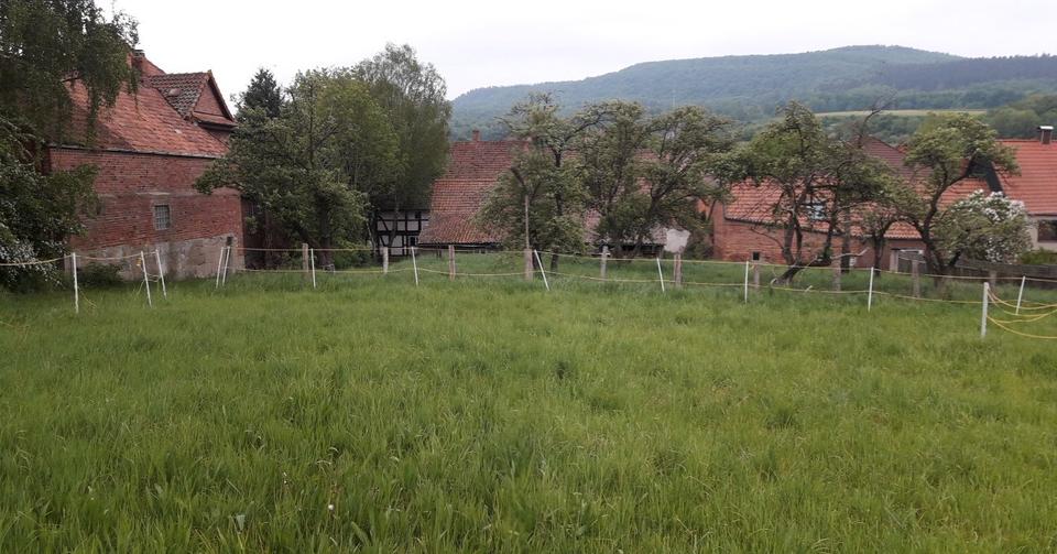 Bauernhaus, Landhaus Delligsen - 135.000&euro; | Angebot:26088868