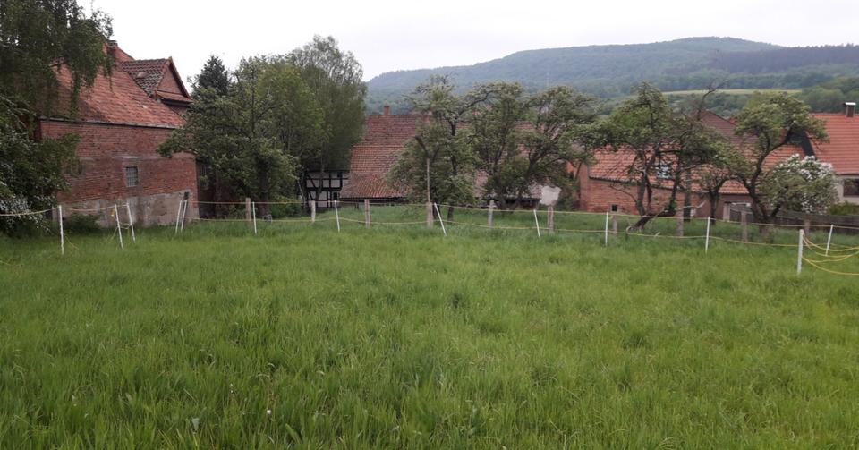 Bauernhaus, Landhaus Delligsen - 165.000&euro; | Angebot:24224162