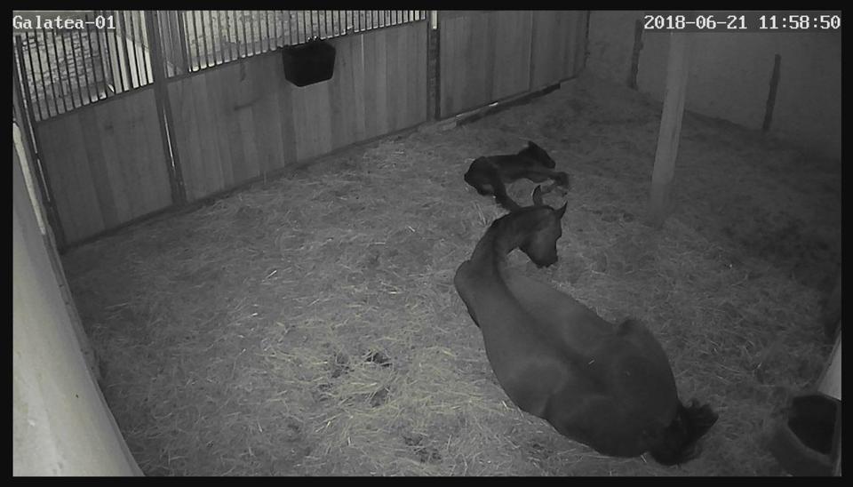 Mehrfamilienhaus, Wohnhaus Bockenem - 10 Zimmer, 310 m&sup2;, 460.000&euro; | Angebot:25636613