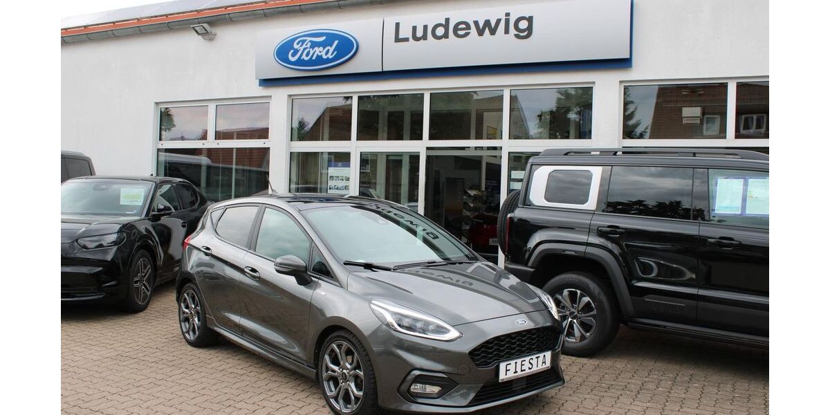 Ford Fiesta 99.588 km 11.490 &euro; Delligsen 31073