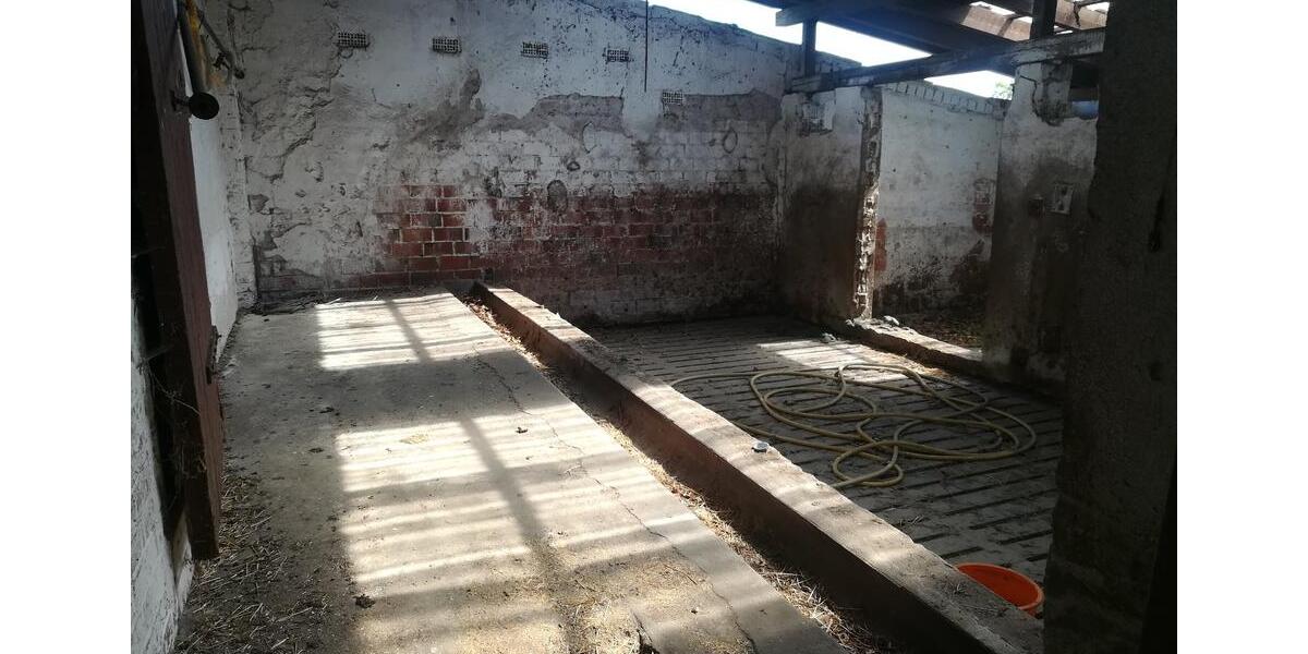 Bauernhaus, Landhaus Lehrte - 12 Zimmer, 300 m&sup2;, 600.000&euro; | Angebot:24841742