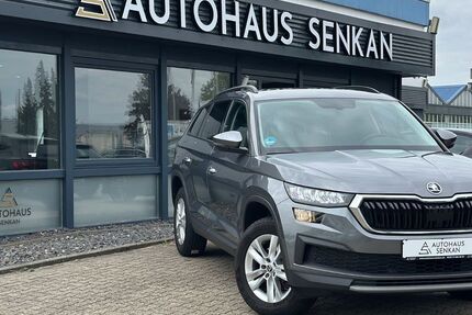 Skoda Kodiaq 117.800 km 24.990 &euro; Peine 31228
