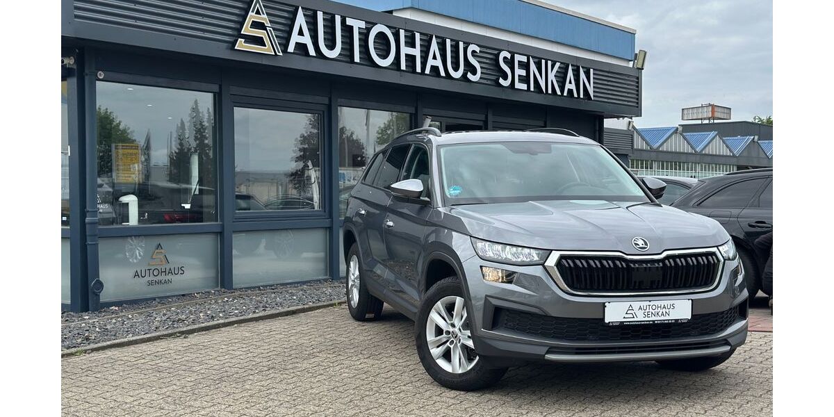 Skoda Kodiaq 117.800 km 24.990 &euro; Peine 31228