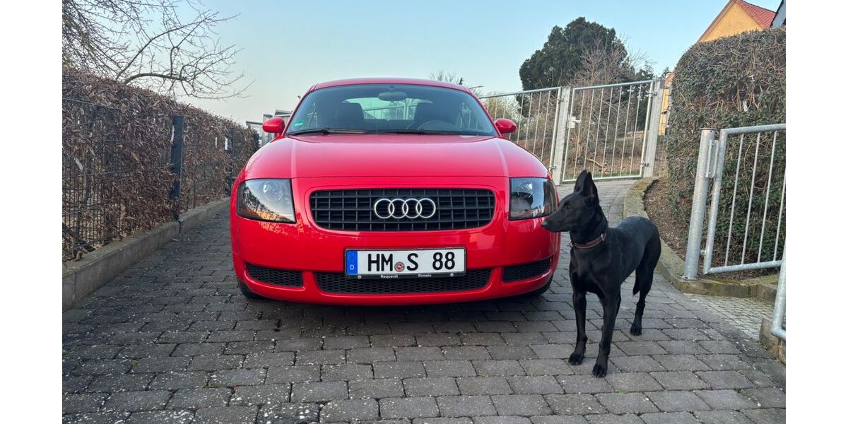 Audi TT 90.000 km 13.999 &euro; Salzhemmendorf 31020