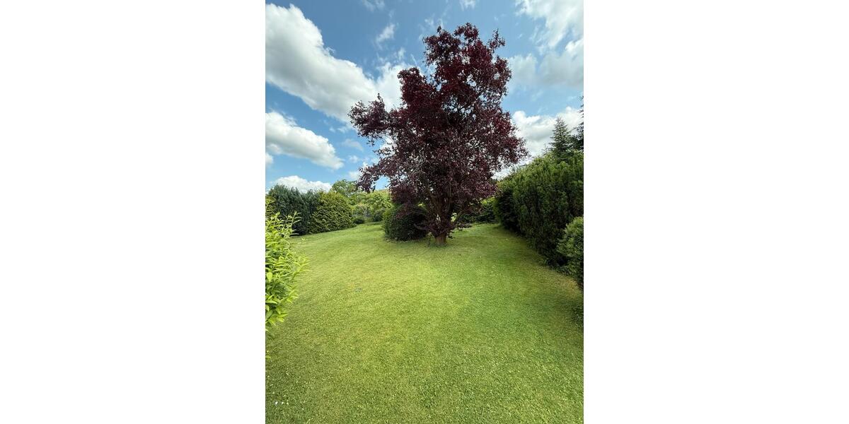 Einfamilienhaus Bad Salzdetfurth - 8 Zimmer, 250 m&sup2;, 329.000&euro; | Angebot:25282138