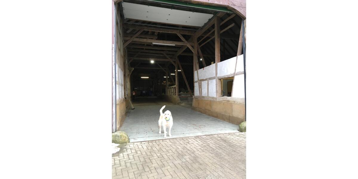 Gewerbeobjekt Bockenem - 1.500&euro; | Angebot:25044986