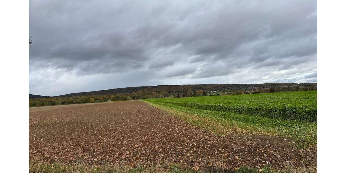 Grundstück Springe-Alvesrode Alvesrode - 119.000&euro; | Angebot:23623738