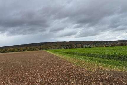 Grundstück Springe-Alvesrode Alvesrode - 135.000&euro; | Angebot:23623738