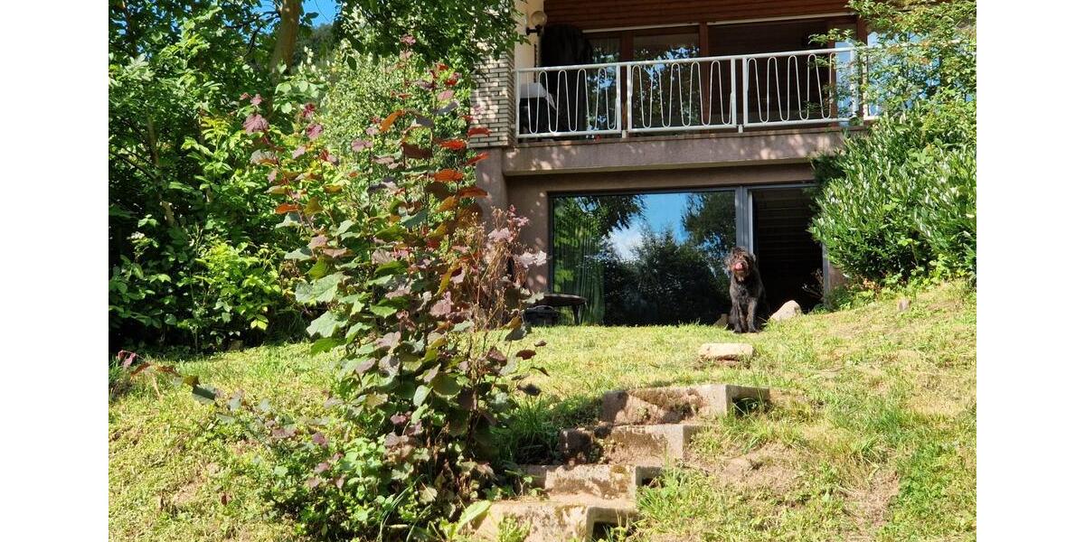 Einfamilienhaus Alfeld (Leine) - 5 Zimmer, 239 m&sup2;, 259.000&euro; | Angebot:26053219