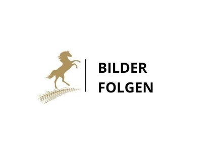 Ford Mustang 69.680 km 29.900 &euro; Hannover 30457