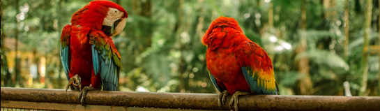 Erlebnis-Zoo Hannover Familienpark Sottrum Region Hannover Route Hildesheim