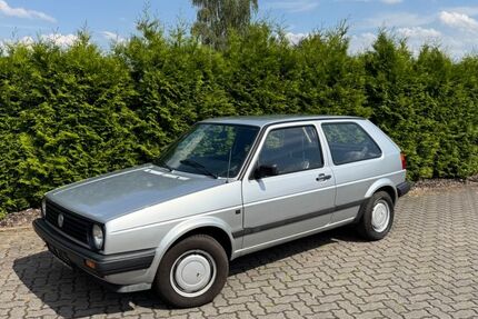 VW Golf 169.000 km 6.999 &euro; Peine 31224