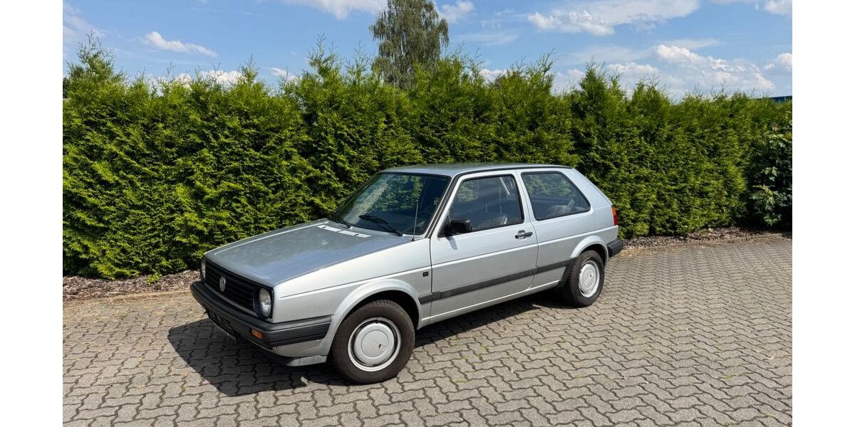 VW Golf 169.000 km 6.999 &euro; Peine 31224