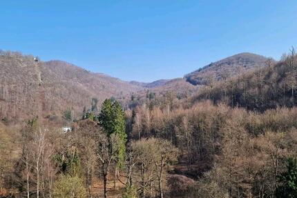 Wohnung Hannover Buchholz-Kleefeld - 3 Zimmer, 86 m&sup2;, 115.000&euro; | Angebot:25801592