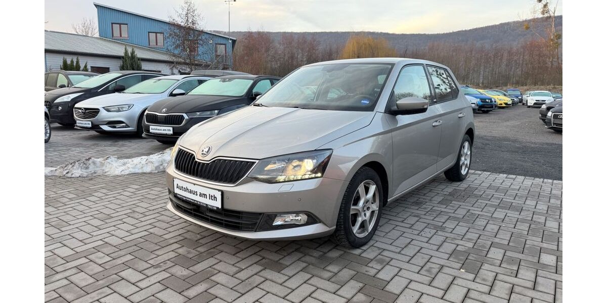 Skoda Fabia 34.765 km 8.990 &euro; Coppenbrügge 31863