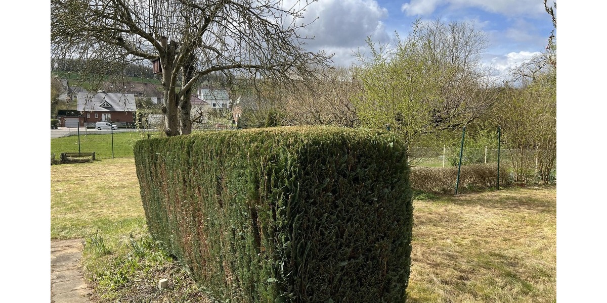Großzügig und durchdacht - Einfamilienhaus Alfeld Hörsum | Angebot:26421597