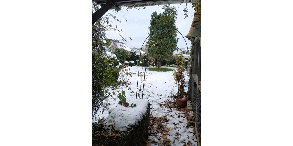 Einfamilienhaus Freden (Leine) - 6 Zimmer, 128 m&sup2;, 154.000&euro; | Angebot:24891284