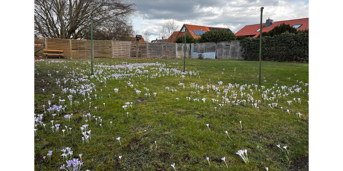 Etagenwohnung Gronau (Leine) - 2.5 Zimmer, 49 m&sup2;, 480&euro; | Angebot:25749088