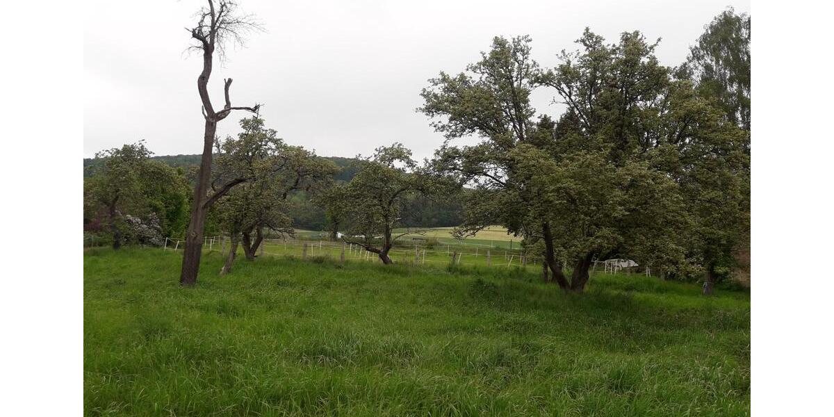 Bauernhaus, Landhaus Delligsen - 135.000&euro; | Angebot:26088868