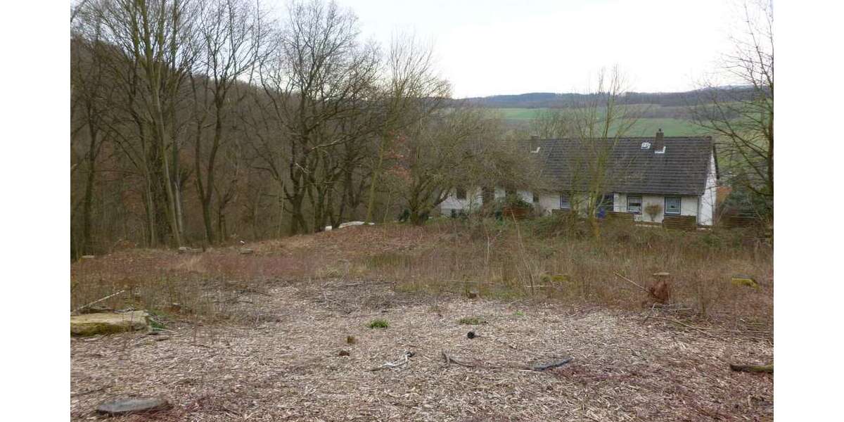 Grundstück Alfeld - 97.600&euro; | Angebot:5658073