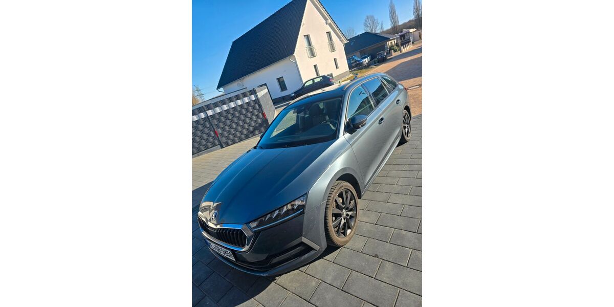 Skoda Octavia 177.000 km 13.700 &euro; Peine 31226